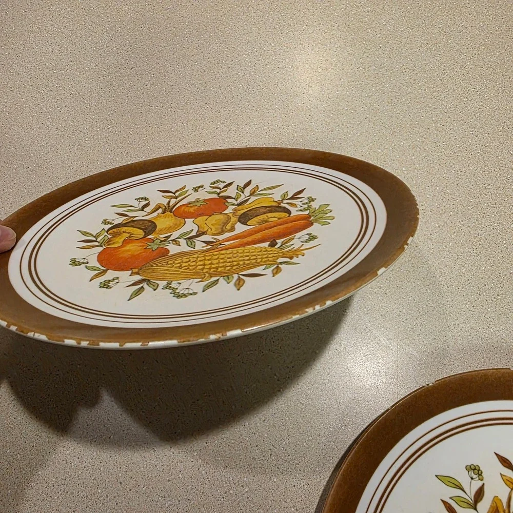 Genuine Melamine Dinner Plates 10